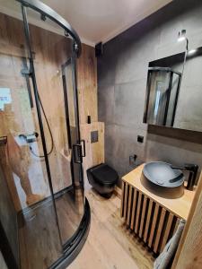 un bagno con doccia e WC di 3miasto Gdynia Apartamenty a Gdynia Altre 25 foto