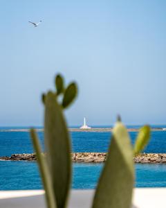 a close up of a plant with the ocean in the background at Fronte Mare Casa Daspa in Gallipoli