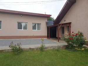 a house with a garden in front of it at Casa Anda - Adult Only in Sovata