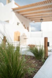 una fila de plantas en un jardín junto a un edificio en Mythical Luxury Apartment, en Naxos Chora