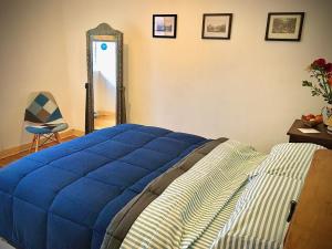 a bedroom with a blue bed and a mirror at Indigo Guest House in Mexico City