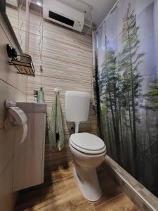 y baño con aseo y cortina de ducha. en Forest paradise, en Koprivnica