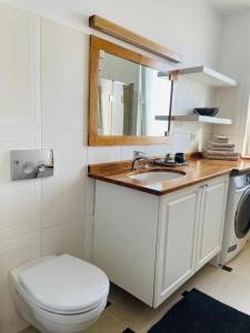 a bathroom with a toilet and a sink and a mirror at Bliss Râșnov in Râşnov