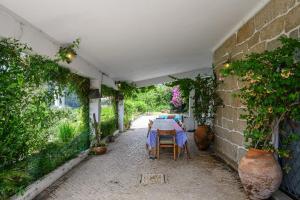 Κήπος έξω από το Casa do Pombal