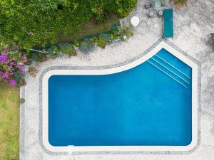 an overhead view of a swimming pool in a garden at Casa do Pombal in Medas