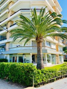 a palm tree in front of a building at Piso delante de la playa La Pineda con 2 habitaciones in La Pineda