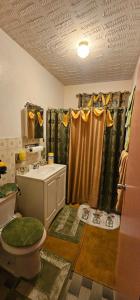 uma casa de banho com um lavatório, um WC e um chuveiro em Smitty's Home Away From Home em Charlotte Amalie