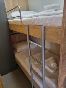 a bunk bed with a ladder on a bunk bed at Hipo camp Mobil home Arta in Pakoštane