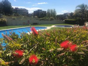 un arbusto con flores rojas junto a una piscina en Port Aventura 5 min à pied - Superbe appartement, en Salou