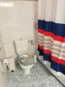 uma casa de banho com um WC e uma cortina de chuveiro em Andros Breeze em Batsi