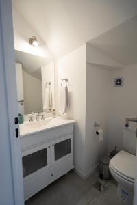 a bathroom with a sink and a toilet at Casas Los Alamos - Alquiler temporario in Esquel