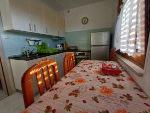 Kuchnia lub aneks kuchenny w obiekcie Apartments Lana