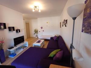 Telewizja i/lub zestaw kina domowego w obiekcie Apartments Lana