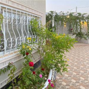 einen Balkon mit Blumen in einem Pflaster auf einem Gebäude in der Unterkunft Lantana Chalets in Az Zulfi