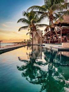 una piscina junto a una playa con palmeras en Amansala Resort, en Tulum