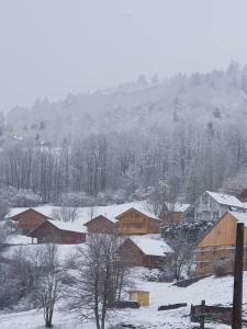 a snow covered town with houses and buildings at Nid douillet à La Bresse in La Bresse