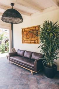 um sofá de couro castanho numa sala de estar com uma planta em Eksōtika em Oliveri