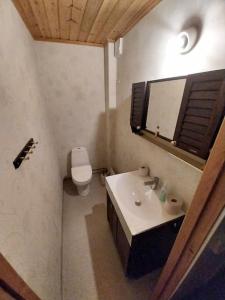 bagno con lavandino, servizi igienici e specchio di Gula huset a Rottneros