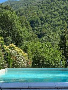 een zwembad met een berg op de achtergrond bij Le Foglie di Lubo in Aulla