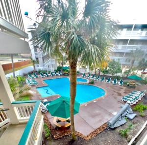 einen Pool mit Stühlen und einer Palme in einem Hotel in der Unterkunft GypSEA Blu Beach Condo Steps to the Beach in Galveston