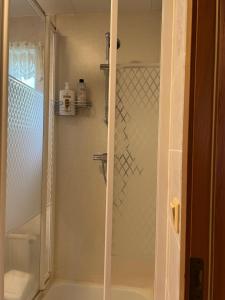 y baño con ducha y puerta de cristal. en Árstígur 7, en Seyðisfjörður
