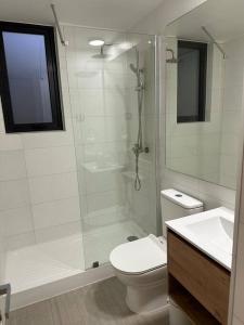 ein Badezimmer mit Dusche, Toilette und Waschbecken in der Unterkunft Apartamento Nuevo Pucón in Pucón
