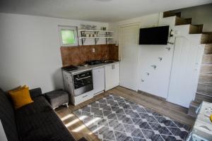 Kuchyň nebo kuchyňský kout v ubytování Vila Nina i Lux apartman