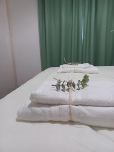 een stapel handdoeken bovenop een bed bij Dos22 Apartment in Mendoza