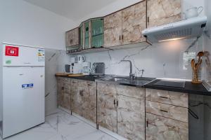 kuchnia ze zlewem i lodówką w obiekcie Apartments by the sea Klenovica, Novi Vinodolski - 5557 w mieście Klenovica