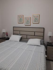 a bedroom with a large bed with two pillows at House in San Miguel, Res. San Andres in San Miguel
