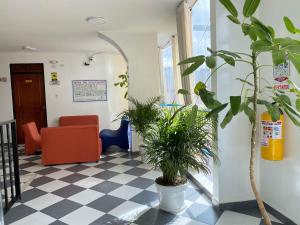 a waiting room with potted plants on a checkered floor at Ayenda Alfay Mosquera in Mosquera