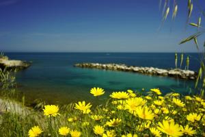 een veld gele bloemen naast een lichaam water bij Residence Girasole in Giovinazzo