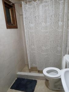 La salle de bains est pourvue d'un rideau de douche et de toilettes. dans l'établissement Cabaña La Guanaca, à Comandante Luis Piedrabuena