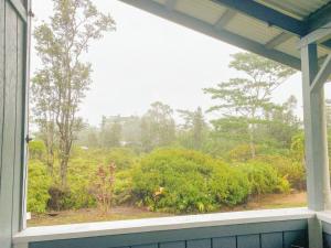 Afbeelding uit fotogalerij van Hibiscus Hale, Full Kitchen, King Bed, Parking in Keaau