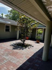 a house with a tree in the middle of a patio at Comfy 2 bedroom apartment in Port Richey