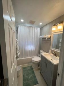een badkamer met een wit toilet en een wastafel bij Lovely 2 bedroom apartment in Port Richey