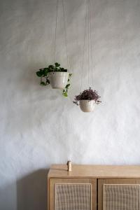 Foto sihtkohas Carrying Place asuva majutusasutuse Owl's Nest Suites galeriist