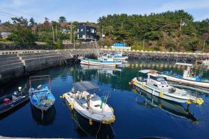 a group of boats are docked in a harbor at A shell in Jeju in Seogwipo