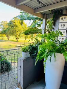 Greenfields外面的花园