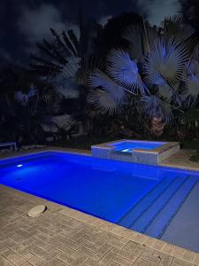 a blue swimming pool with palm trees in the background at Art Deco Villa Heated Pool Jacuzzi Very Private house on a quite street close to Design District 10 minutes from the Beach - in Miami