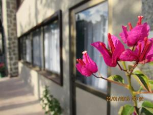 Foto sihtkohas Algarrobo asuva majutusasutuse Hostal Boutique 180 Grados galeriist