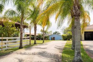 a driveway with palm trees in front of a house at Tampa Bay Oasis in Tarpon Springs