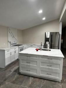 a large white kitchen with a sink and appliances at Tampa Bay Oasis in Tarpon Springs