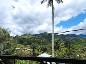 una vista dal balcone di un resort con una palma di Combi a Salento