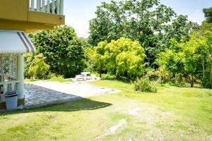 un patio con mesa de picnic y árboles en Cozy Locale - Gold, en Port Antonio