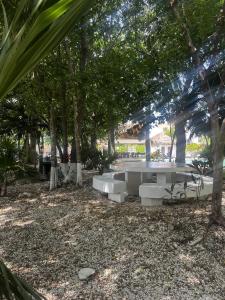 a picnic table in a park with trees at Departamento GaFe in Cancún