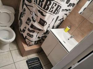 a bathroom with a sink and a shower curtain with shoes on it at Appartement idéalement situé in Saint-Denis