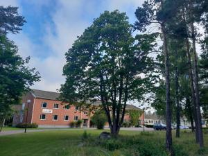 un grand arbre devant un bâtiment en briques dans l'établissement Hostel Svedjegården, à Nybble