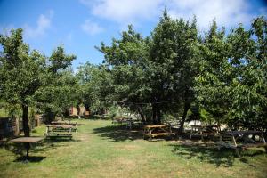 a group of picnic tables under trees in a field at MAVİ AT HOTEL Blue Horse in Gümüşdere