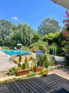 un jardin avec des cactus et une piscine dans l'établissement Domaine du Lac de la vallée, à La Roquette-sur-Siagne